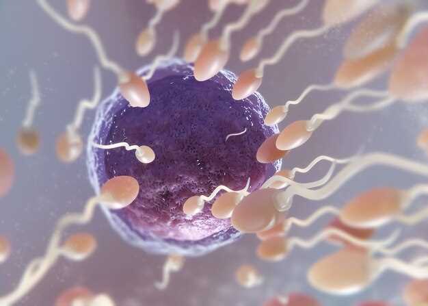 Место образования сперматозоида в мужском организме